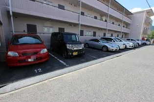 グリーンハイムタニモトの画像