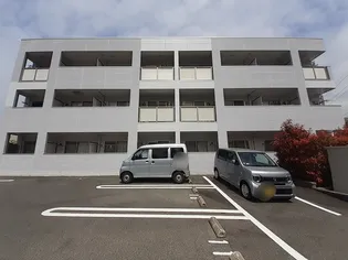 コリウスの画像