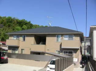 ウィットKの画像