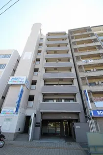 THE KAMINOBORIの画像