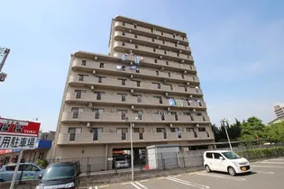 グラビスコート福本の画像