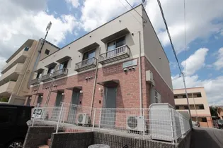 セラサス コリスの画像