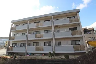 リュミエールSの画像