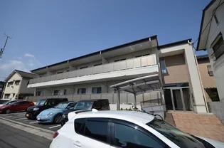 B フォレストの画像