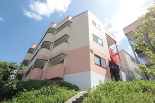 ヒルヴィスタ【3階】の外観