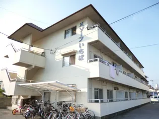 メゾーンいちば【3階】の外観