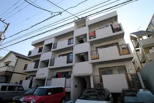 セシカ皆実の画像