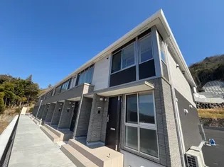 ネーブルの画像