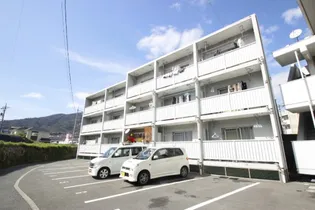 新原第1マンションの画像