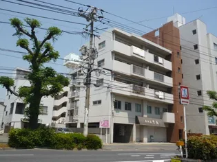 田中ビル【202号室】の外観