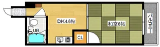 アミティ白島【5階】の間取り