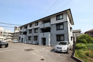 ハイカムール玉木の画像