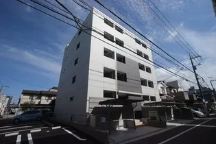 ゆずりはの画像