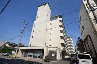 コーポブリューリーブ【6階】の外観