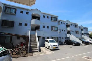 フェリスIIの画像