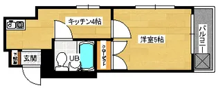 メゾンダイアナイン皆実の間取り