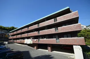 ステラKOIの画像