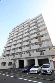 光町ハイム【7階】の外観