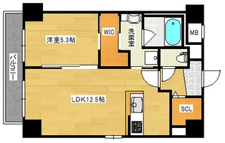 サンテドール【5階】の間取り