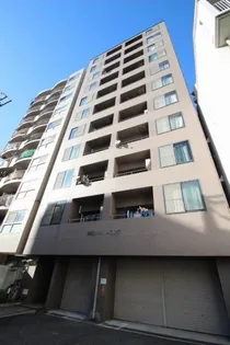 ブラウンハウス【11階】の外観