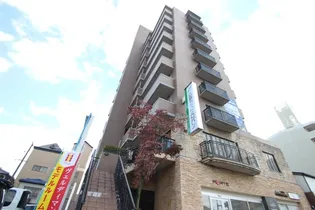 Villa大芝【7階】の外観