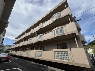 大地マンションの画像