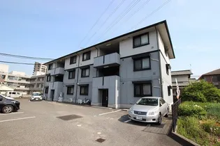 ハイカムール玉木の画像