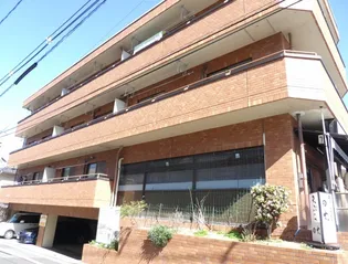 ハピネスの画像