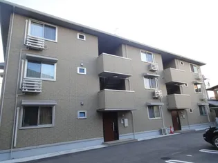 ゴールデン エコーの画像