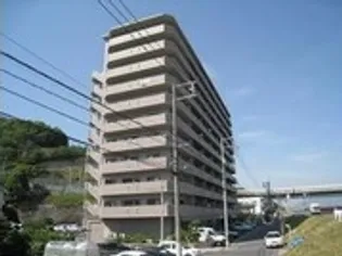 ロイヤル竜王の画像