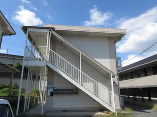 チェリス伴の画像