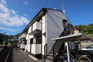 カモマイルの外観