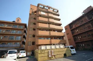 セレッソコート庚午中の画像