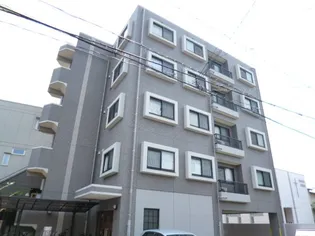 ラフィーネカツタの画像