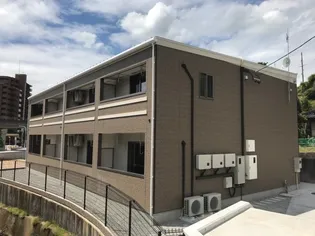 ハニーカルテットの画像