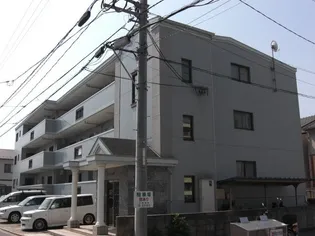 カンファタブルタガワIIの画像