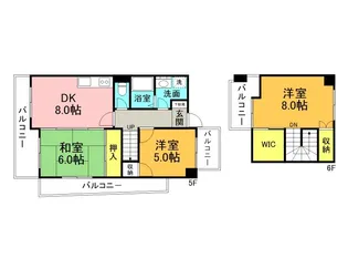 シティハイツ舟入の間取り