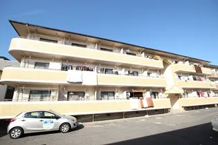 ドミールエヌの外観