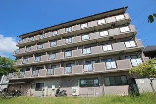 プラムグロウブの画像