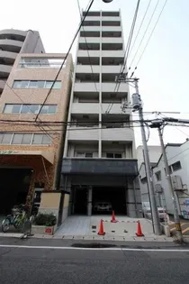 プレシャス コーホーの画像