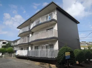 イミグランド4の画像