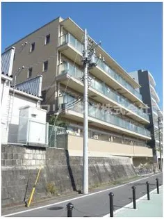 リトルグローブの画像