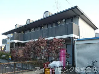 エーデルワイスの画像