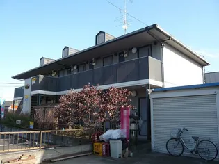 エーデルワイスの画像