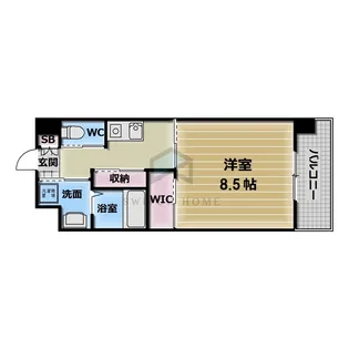 PHOENIX Clove Tomoi【7階】の間取り