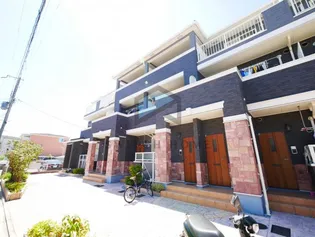 ストレリチア オーガスタの画像