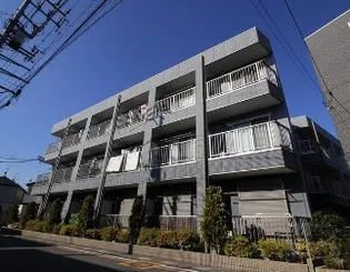 アンプルールフェールジアースの画像