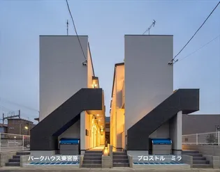 プロストル ミラの画像