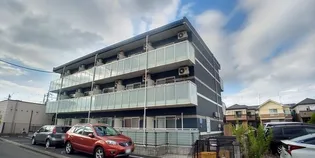 レオネクストヒマワリの画像