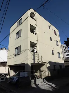 サンフラワーIIIの画像